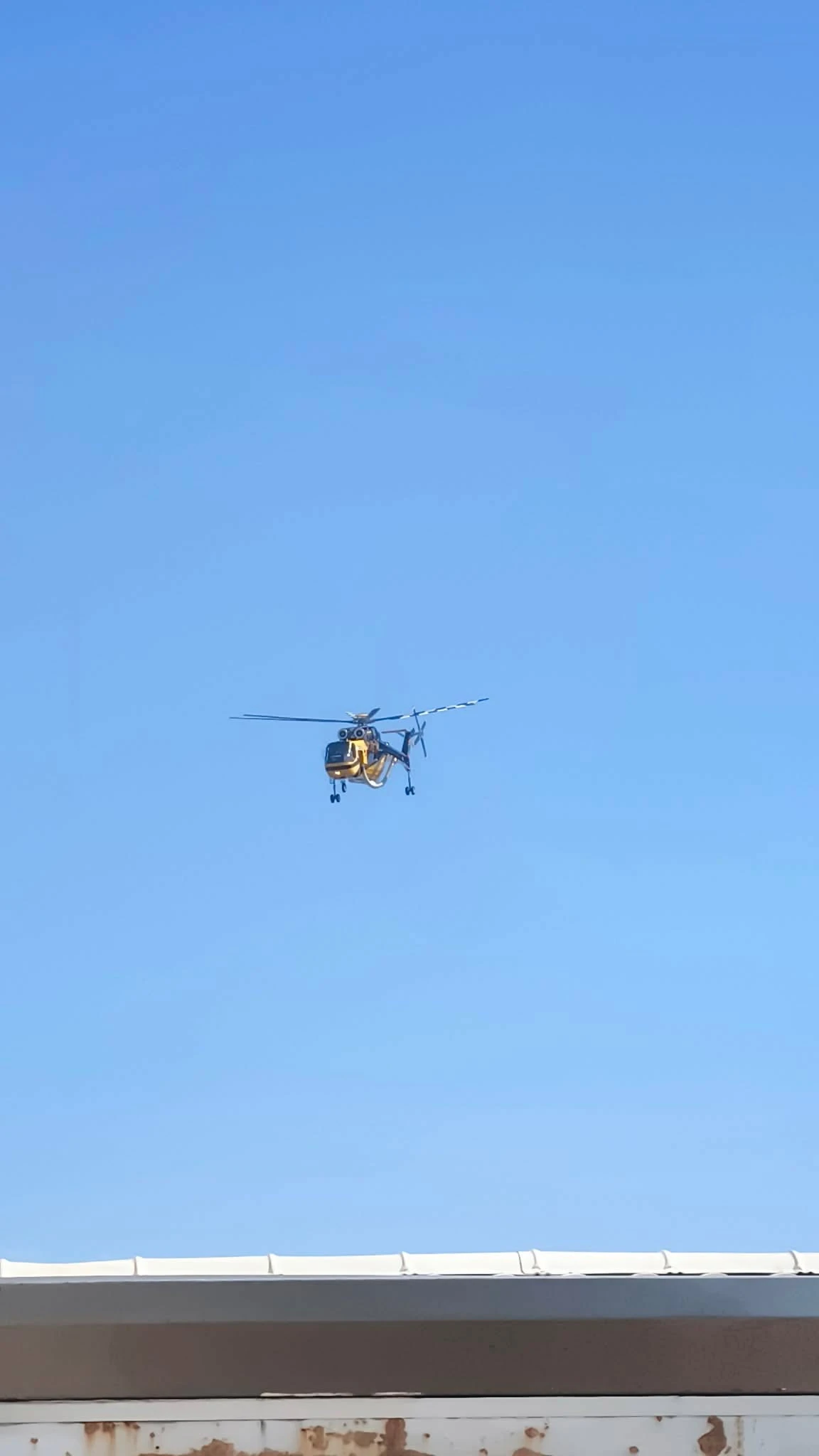 738330335-944251255341736-1642595660684313712-n.jpg