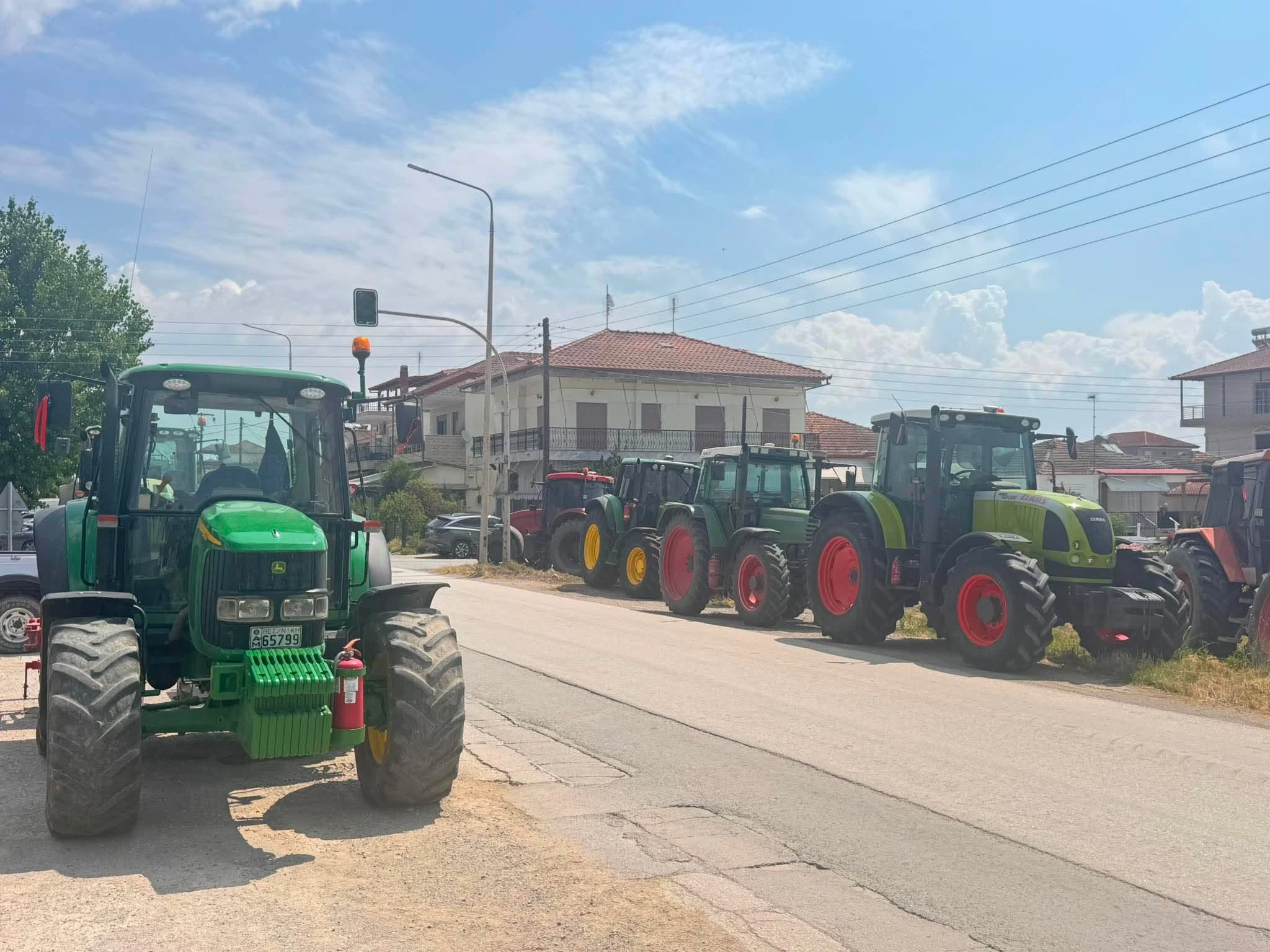 agrotes-4.jpg?v=0