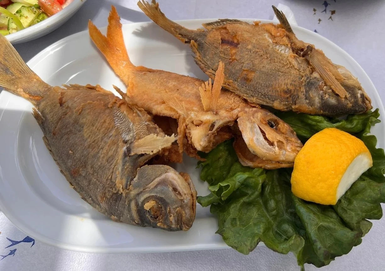 barbouni-12.jpg?v=0
