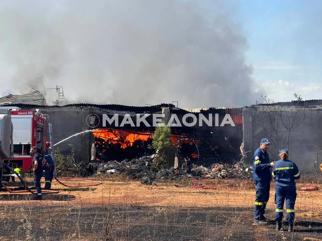 Φωτογραφία από το εργοστάσιο υφασμάτων