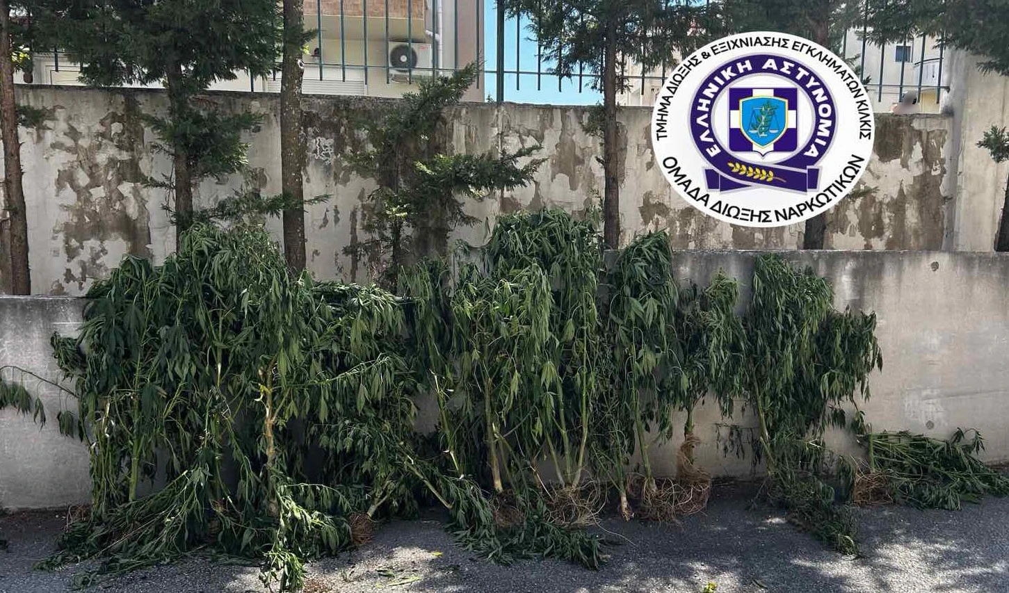 kataschesikilkis1.jpg?v=0
