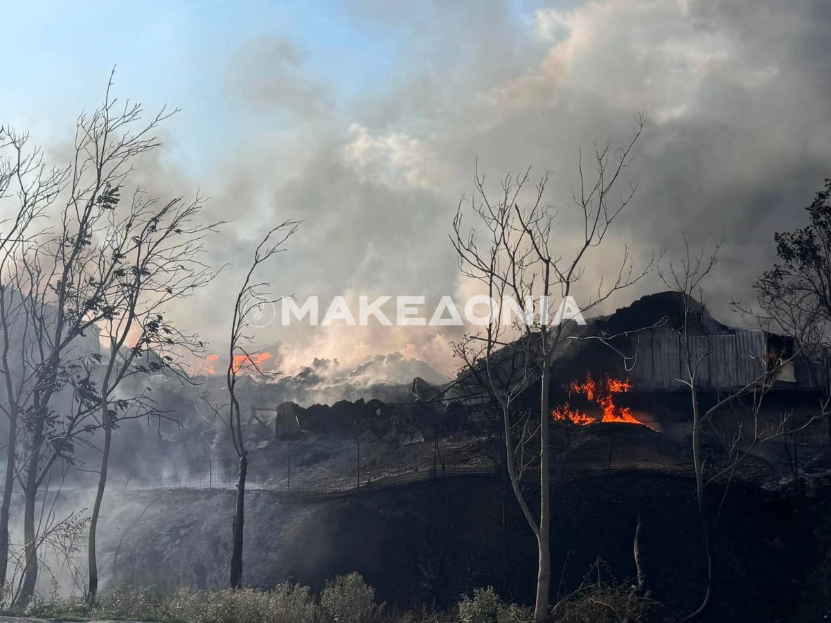 Το εργοστάσιο πλαστικών στη Φιλοθέη που κάηκε πλήρως από τη φωτιά στο Ωραιόκαστρο 