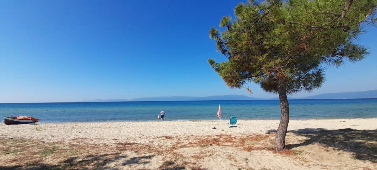 Η Σαρακήνα