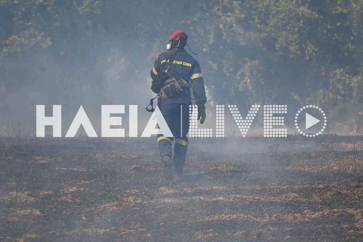 Πηγή: https://www.ilialive.gr/epikaira/431100/ileia-pyrkagia-se-agrotodasiki-ektasi-sti-varda-isxyres-dynameis-sti-maxi-me-tis-floges
