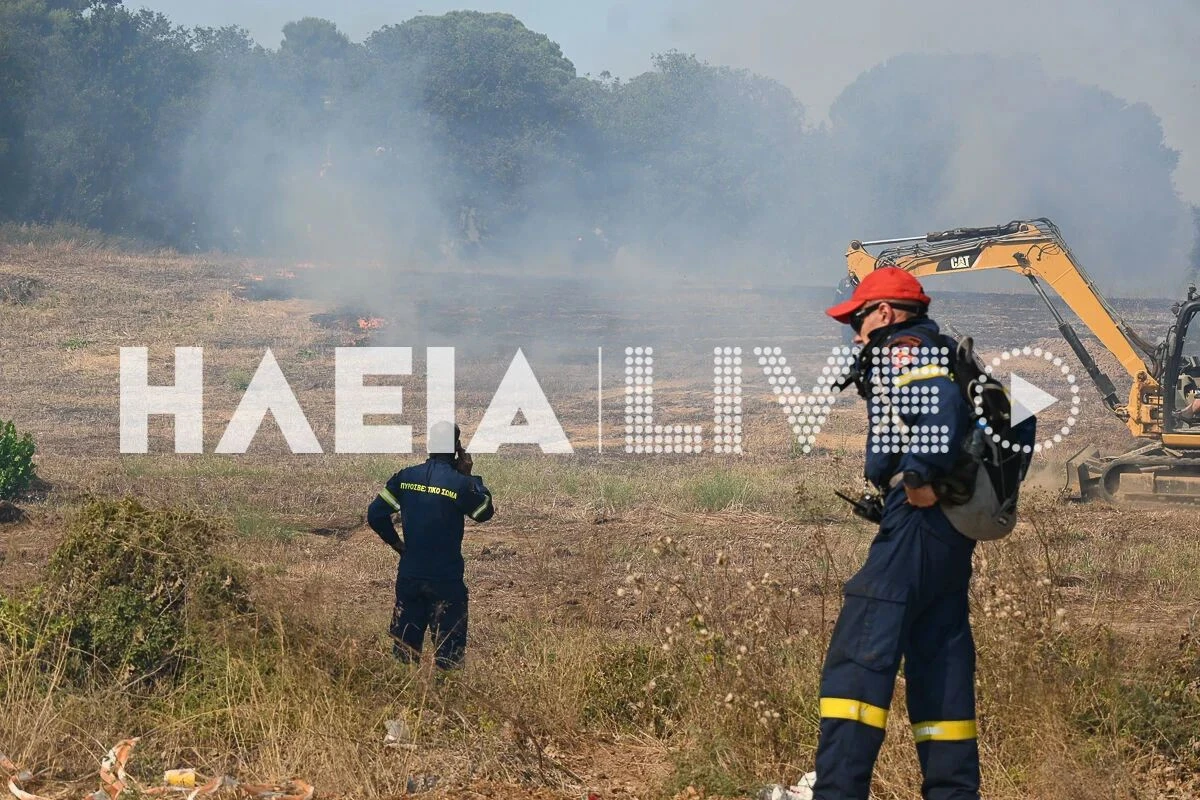 Πηγή: https://www.ilialive.gr/epikaira/431100/ileia-pyrkagia-se-agrotodasiki-ektasi-sti-varda-isxyres-dynameis-sti-maxi-me-tis-floges