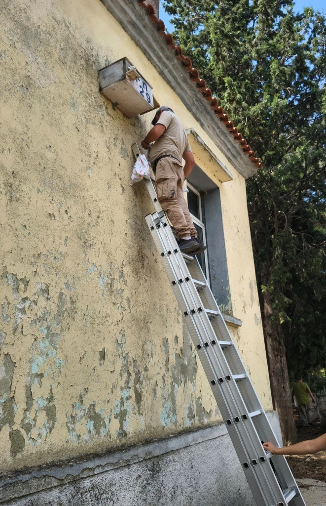 Έλεγχος τεχνητής φωλιάς/ Ευτέρπη Πατεστίνη&nbsp;