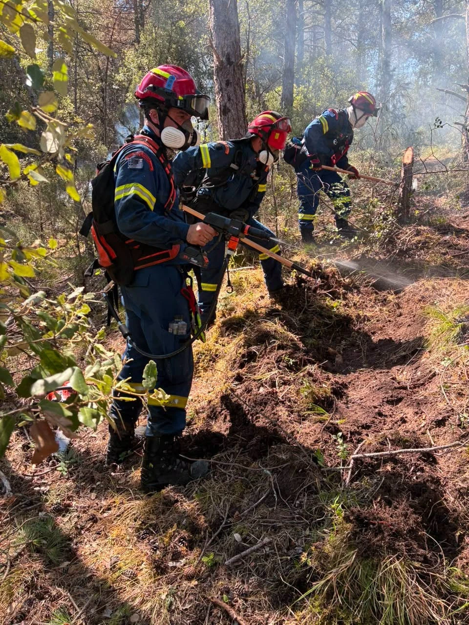 greek-firefighters-france1.jpg?v=0