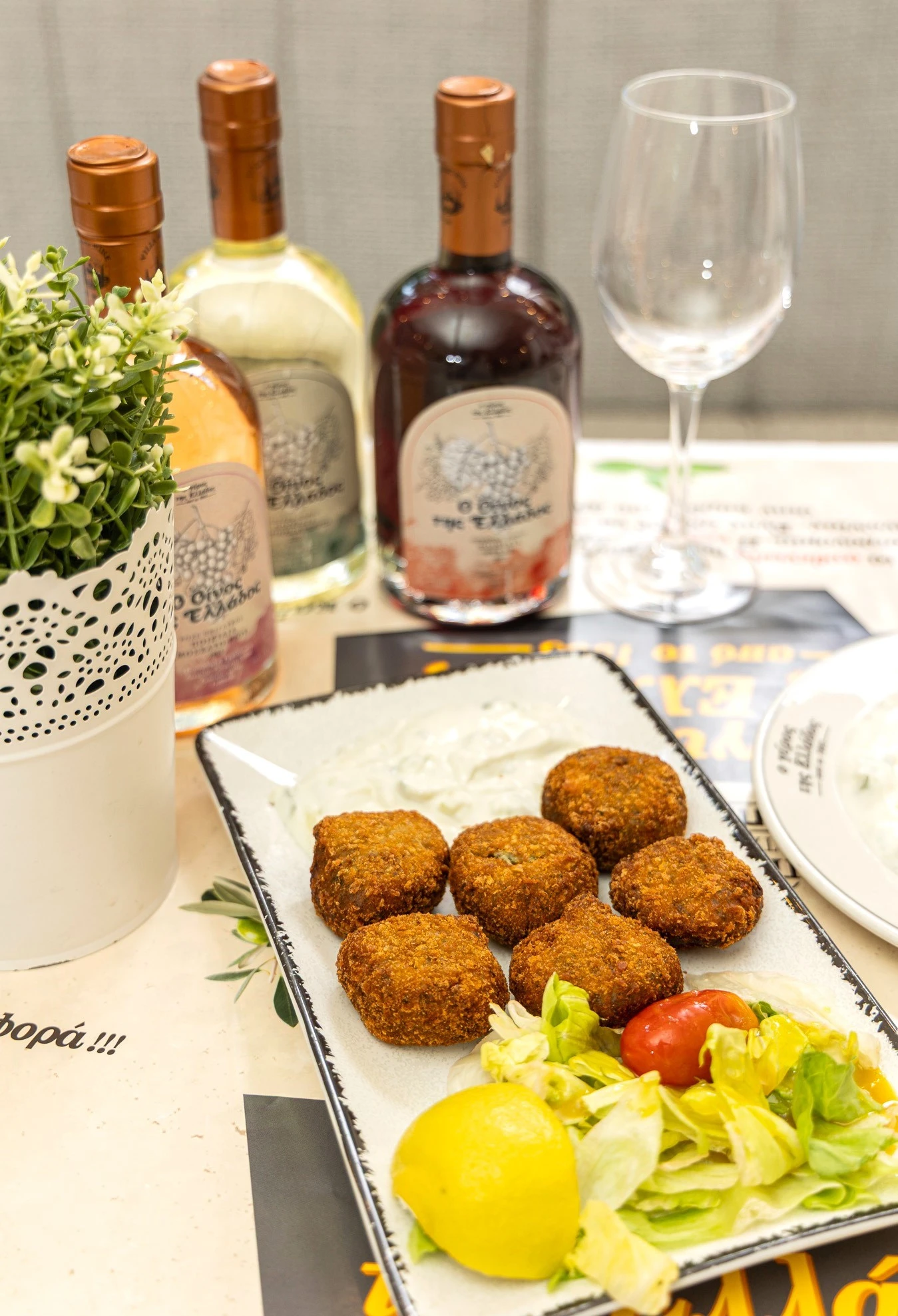 gyros-tis-ellados-17.jpg?v=0