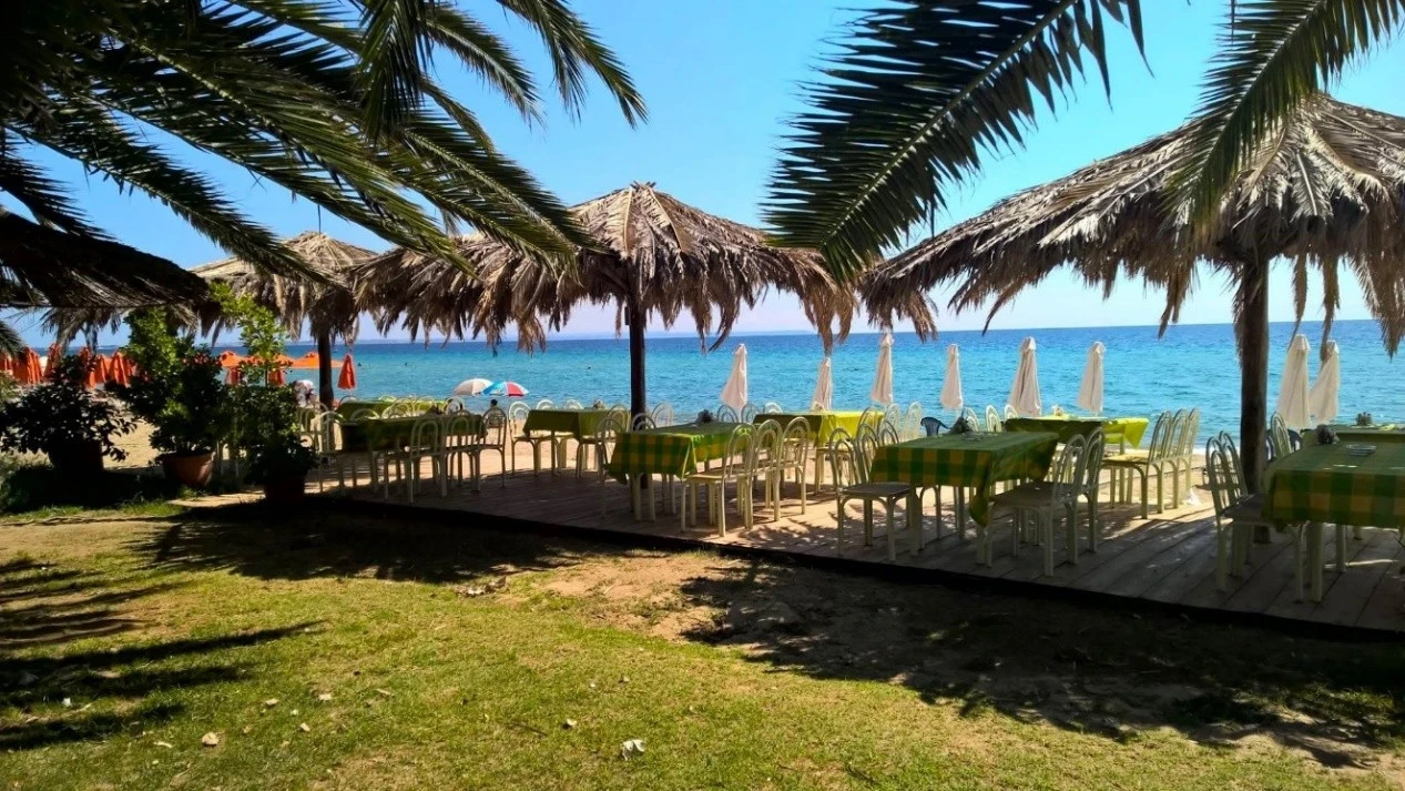 halkidiki-restaurant-11.jpg?v=0