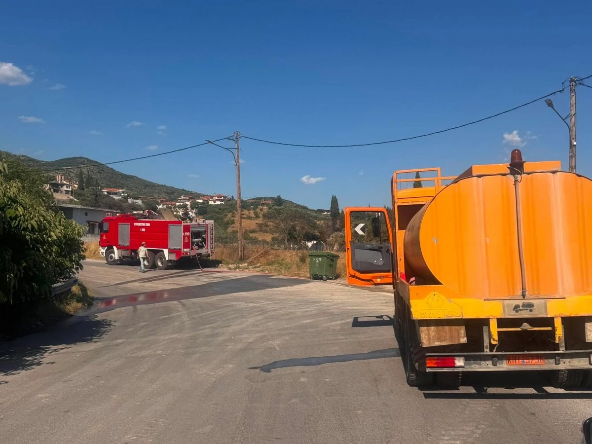 serres-oinousa-fotia3.jpg?v=0
