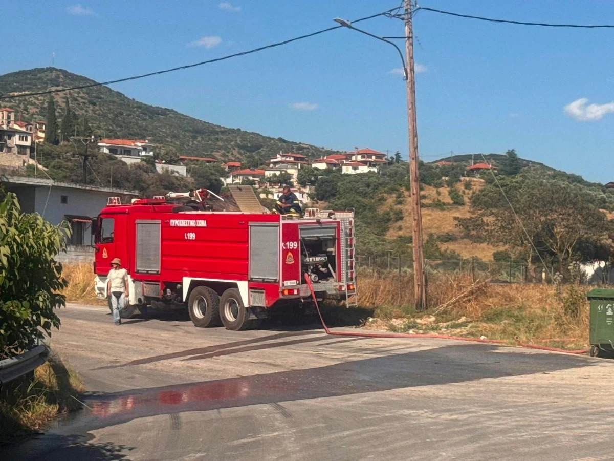 serres-oinousa-fotia4.jpg?v=0