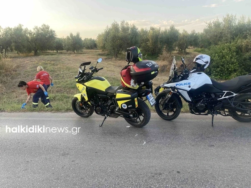 Πηγή: halkidikinews.gr&nbsp;