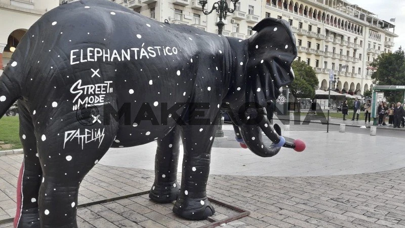 elefantes-thessaloniki-05.jpg