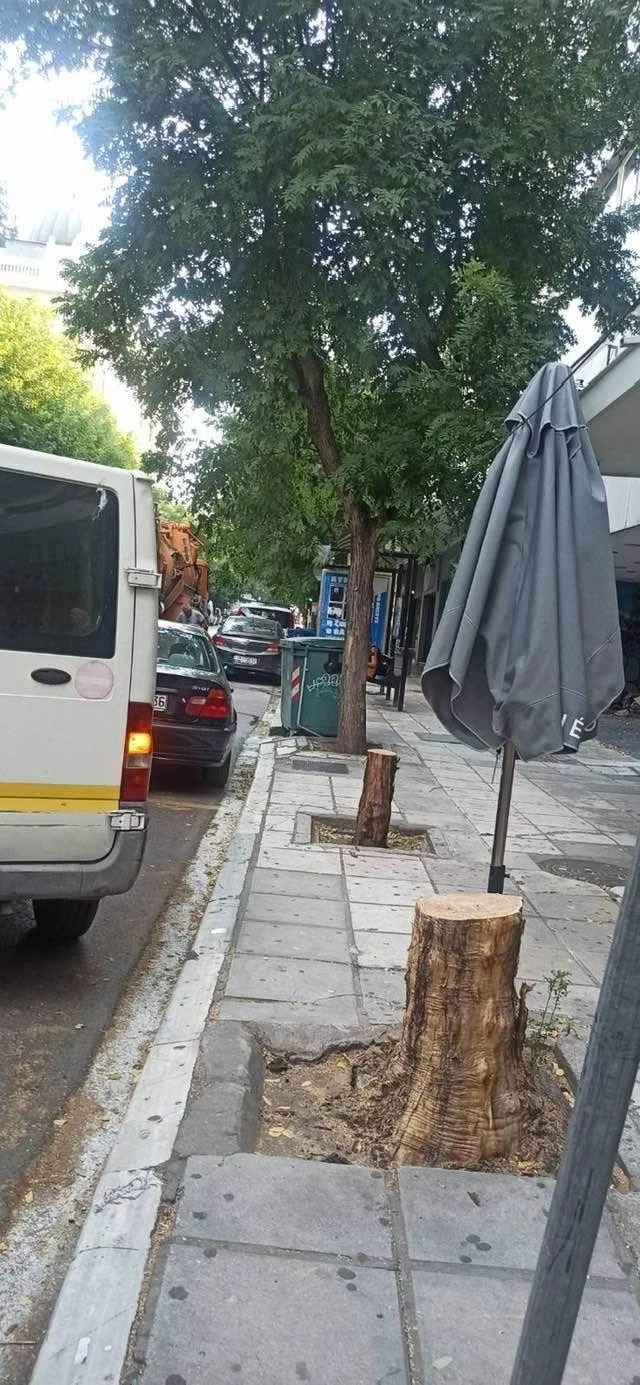 764953978-27962495620084686-1766450813727215689-n.jpg?v=0