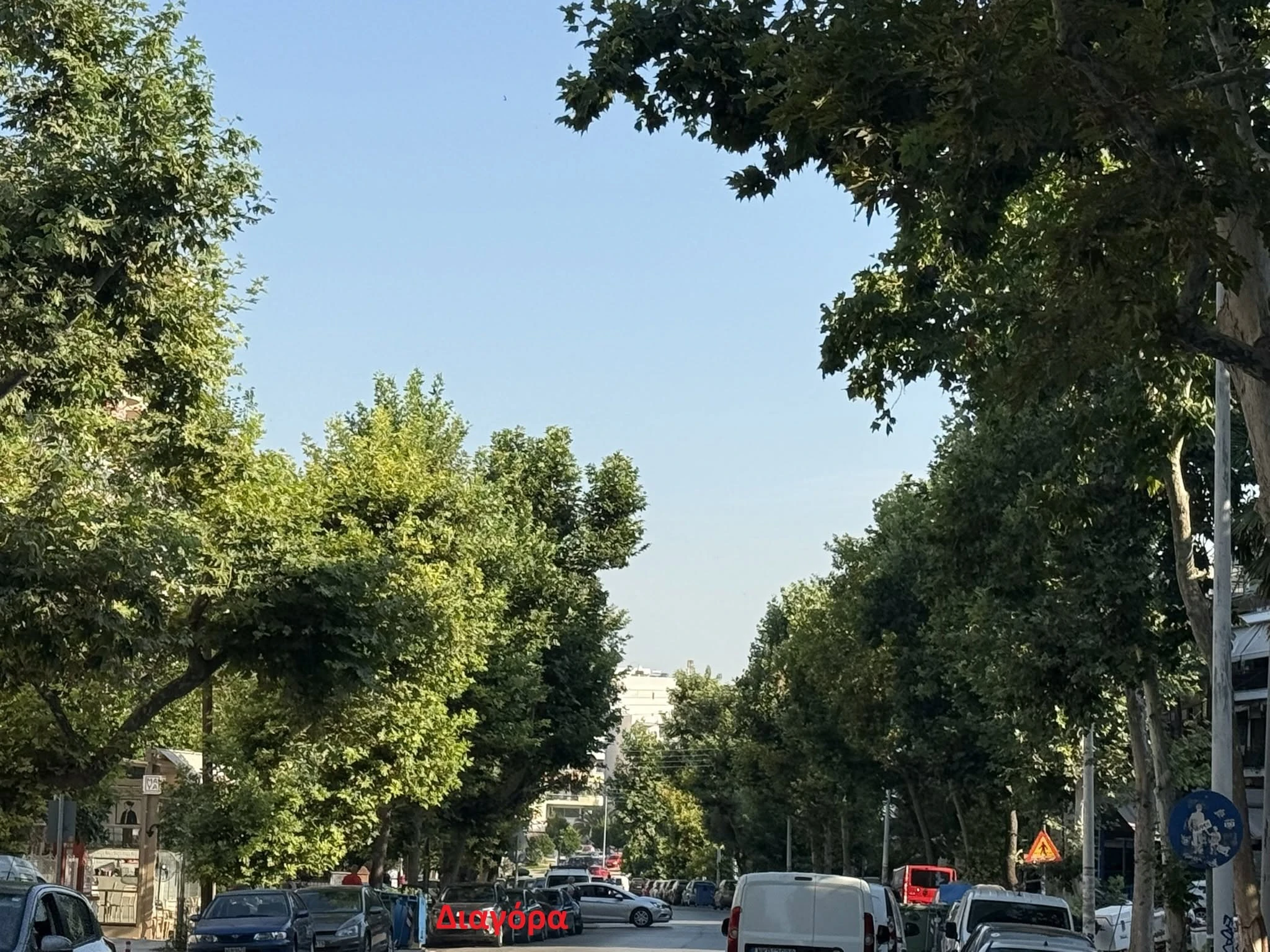 diagora-diamantakis.jpg?v=0