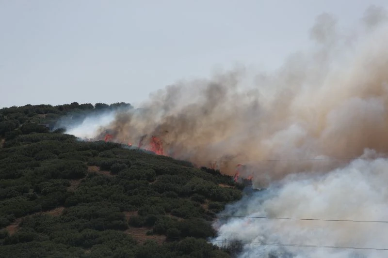perivallonitko-parko-derveniou-fotia3.jpg
