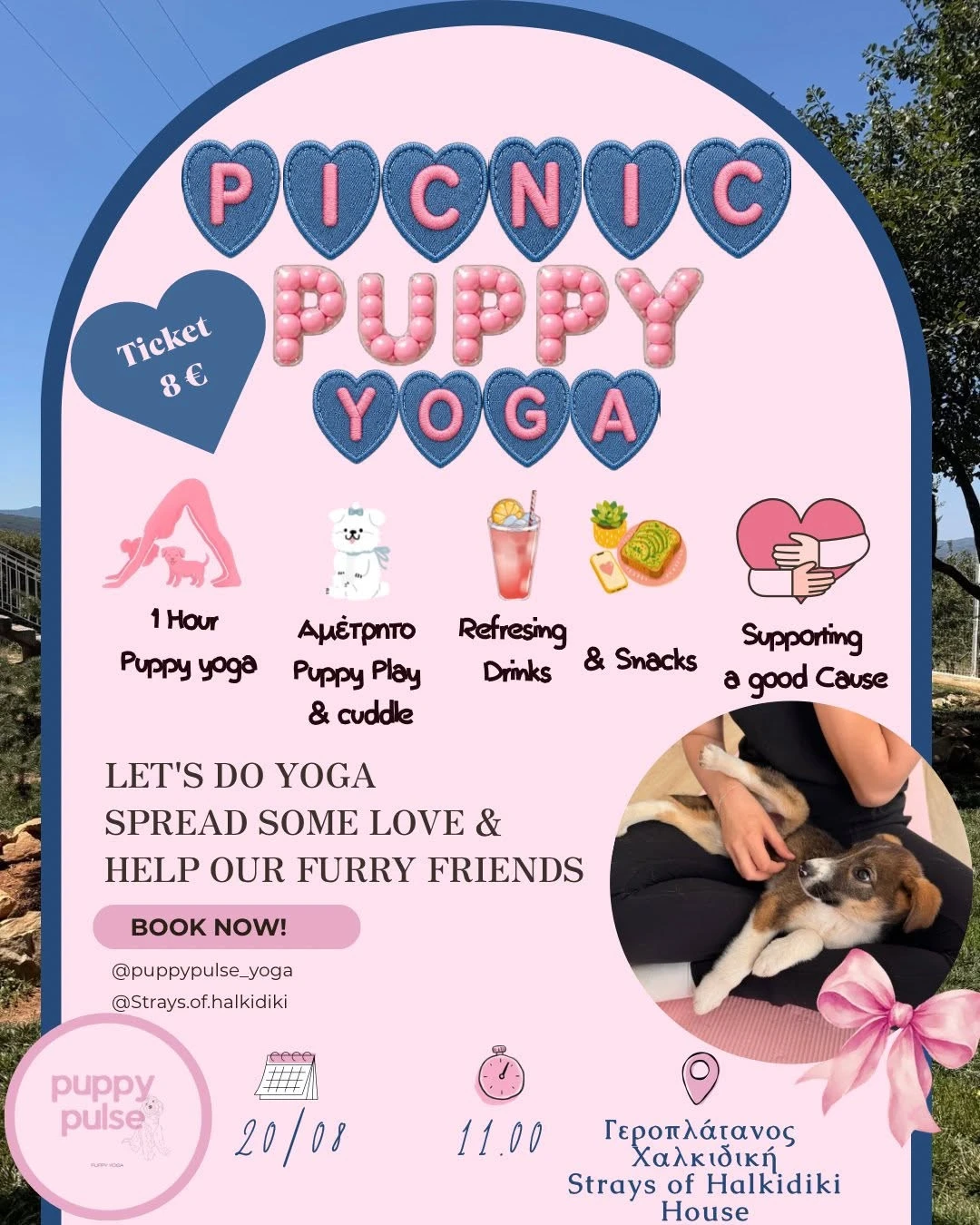 puppy.jpg?v=0