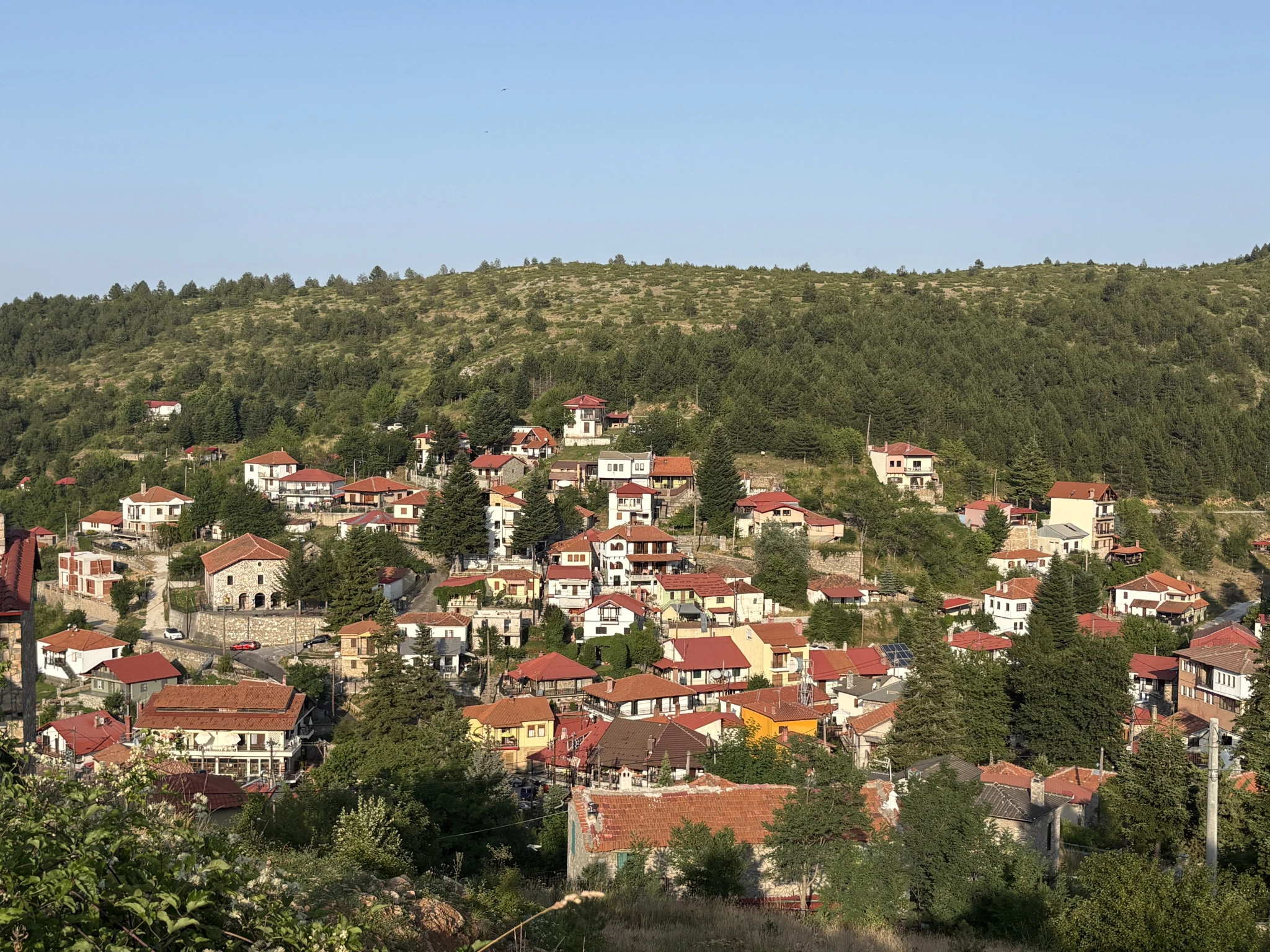 Το Βέρμιο ή Σέλι από ψηλά