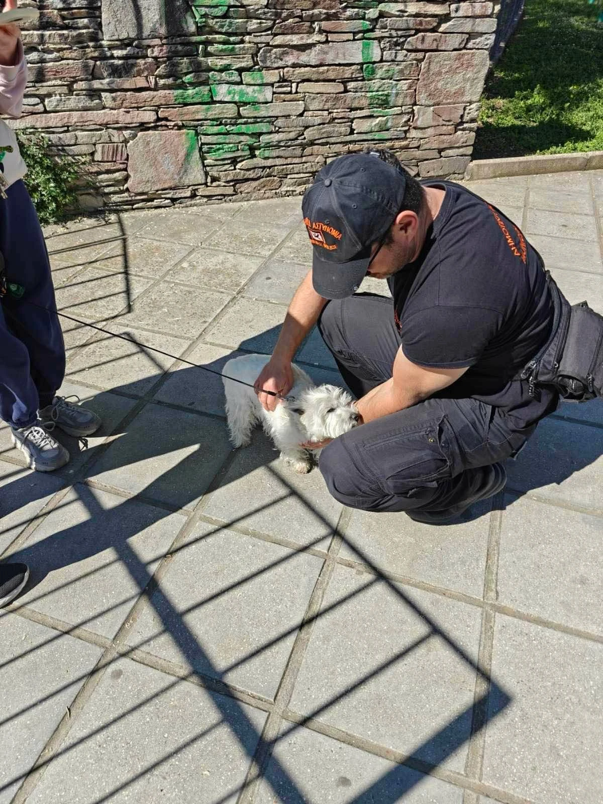 Φωτογραφία από έλεγχο κηδεμόνα δεσποζόμενου σκύλου