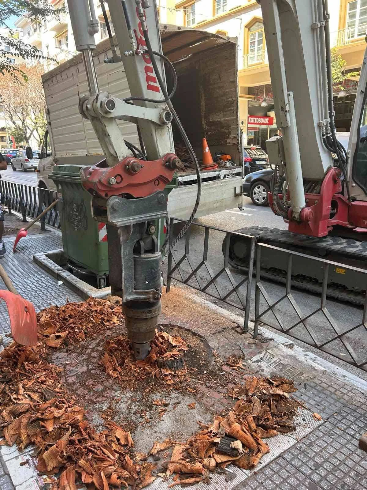 dendrodoxoi-thessaloniki.jpg?v=0
