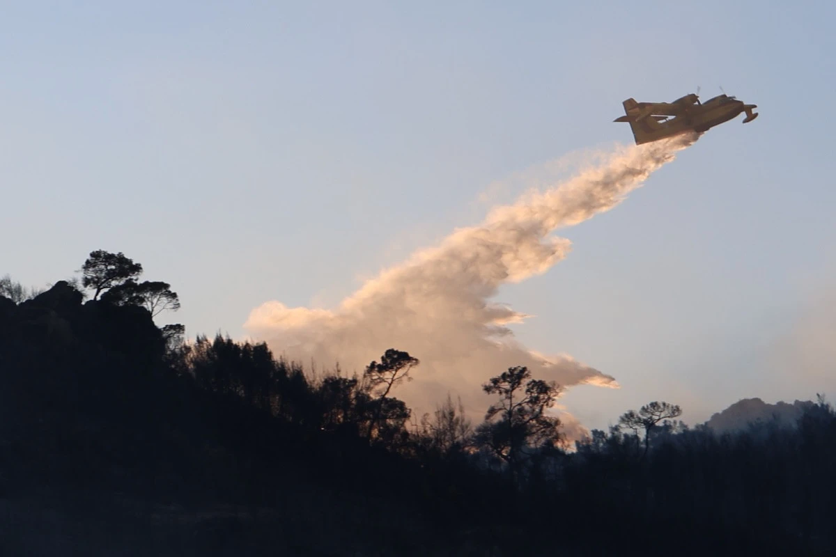 fotia-canadair-salamina.jpg?v=0