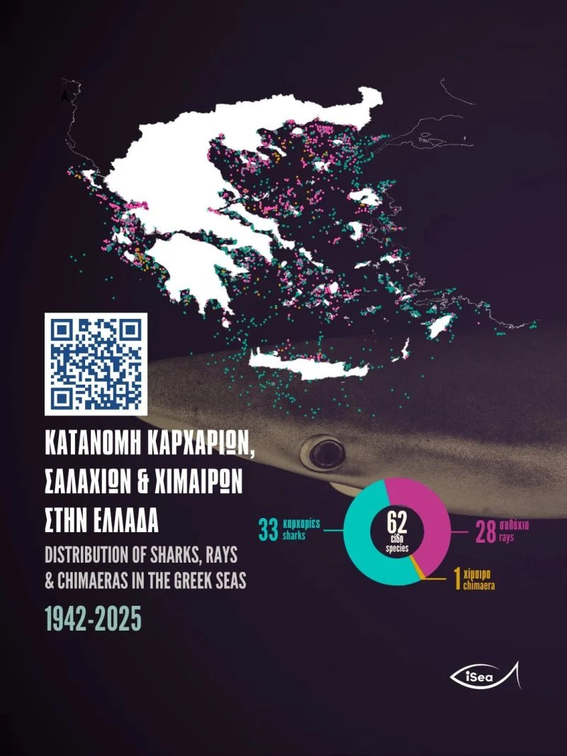 karcharies-isea.jpg