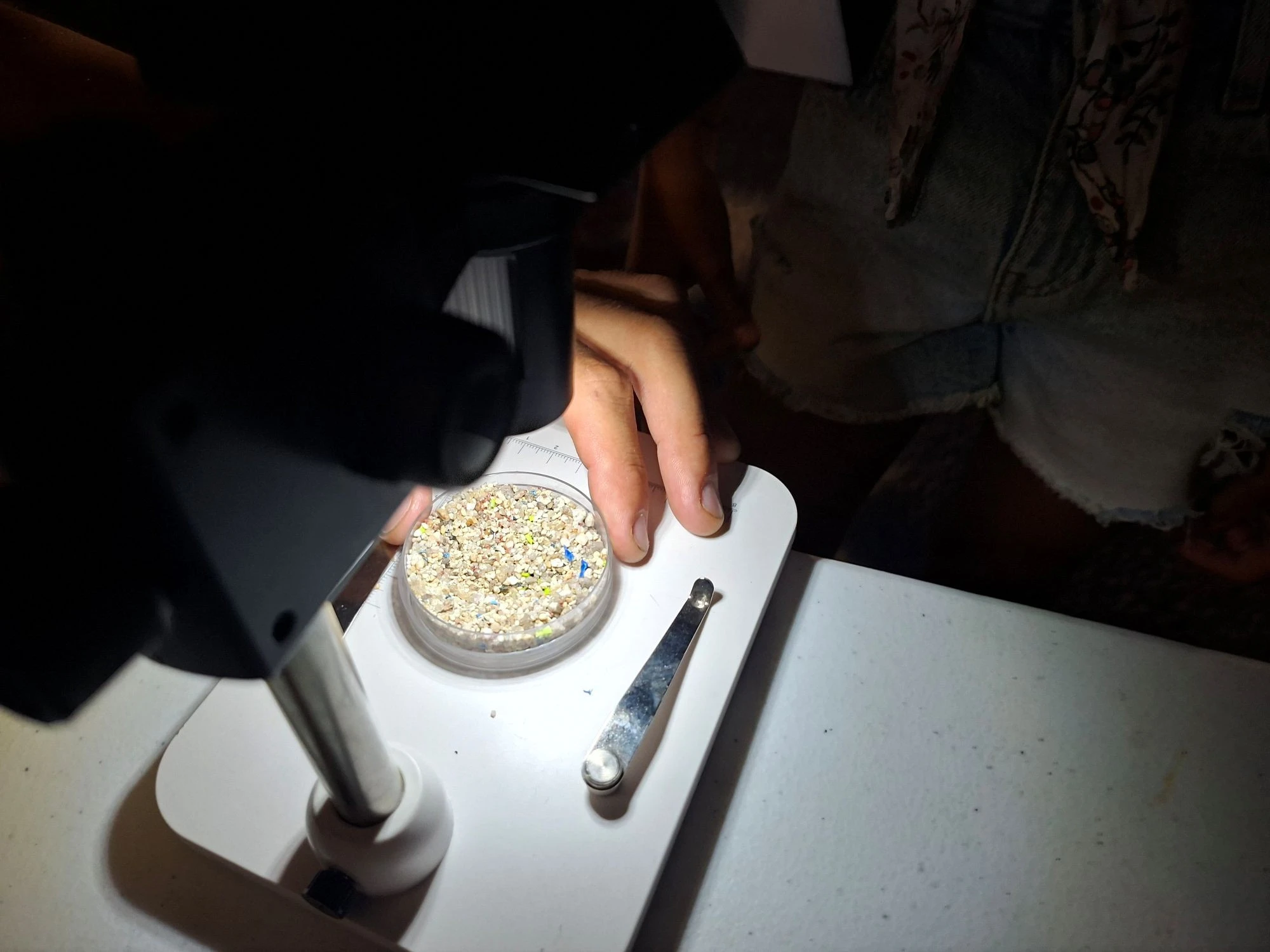 mikroplastics31.jpg?v=0