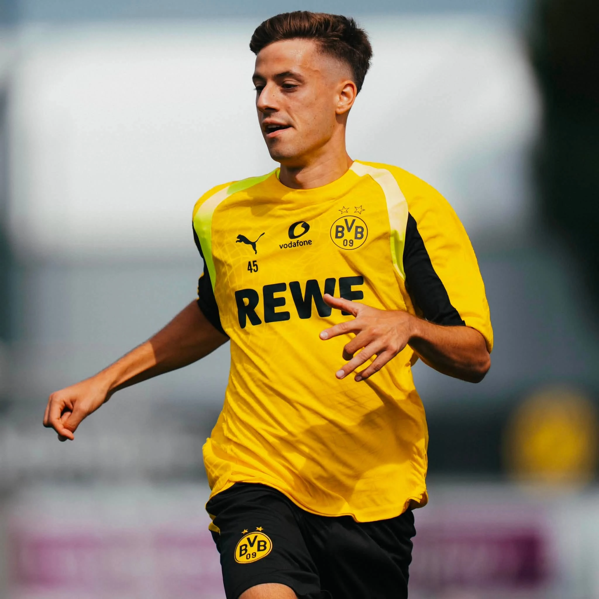 ntelia-bvb6.jpg