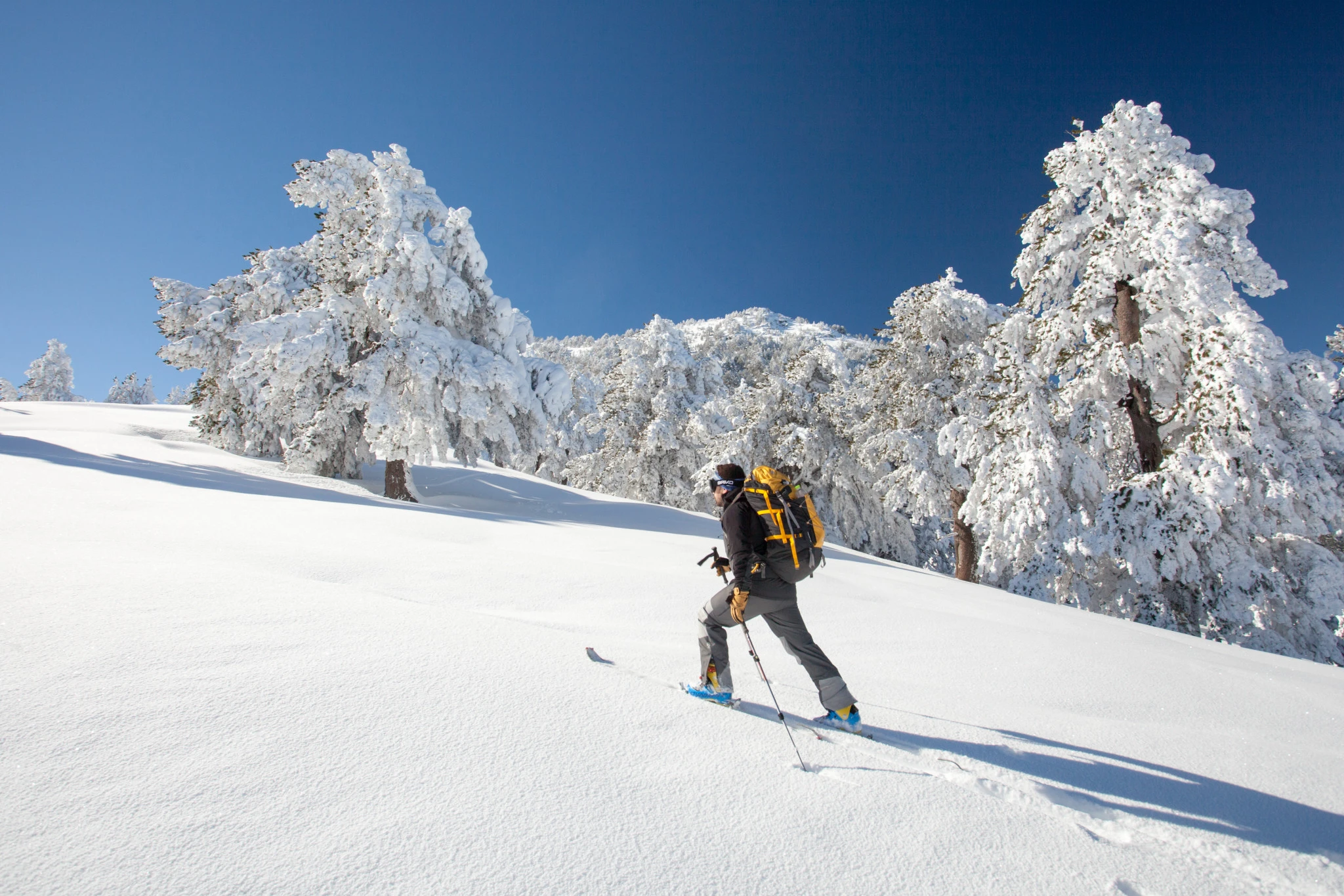 olympos-09.jpg?v=0