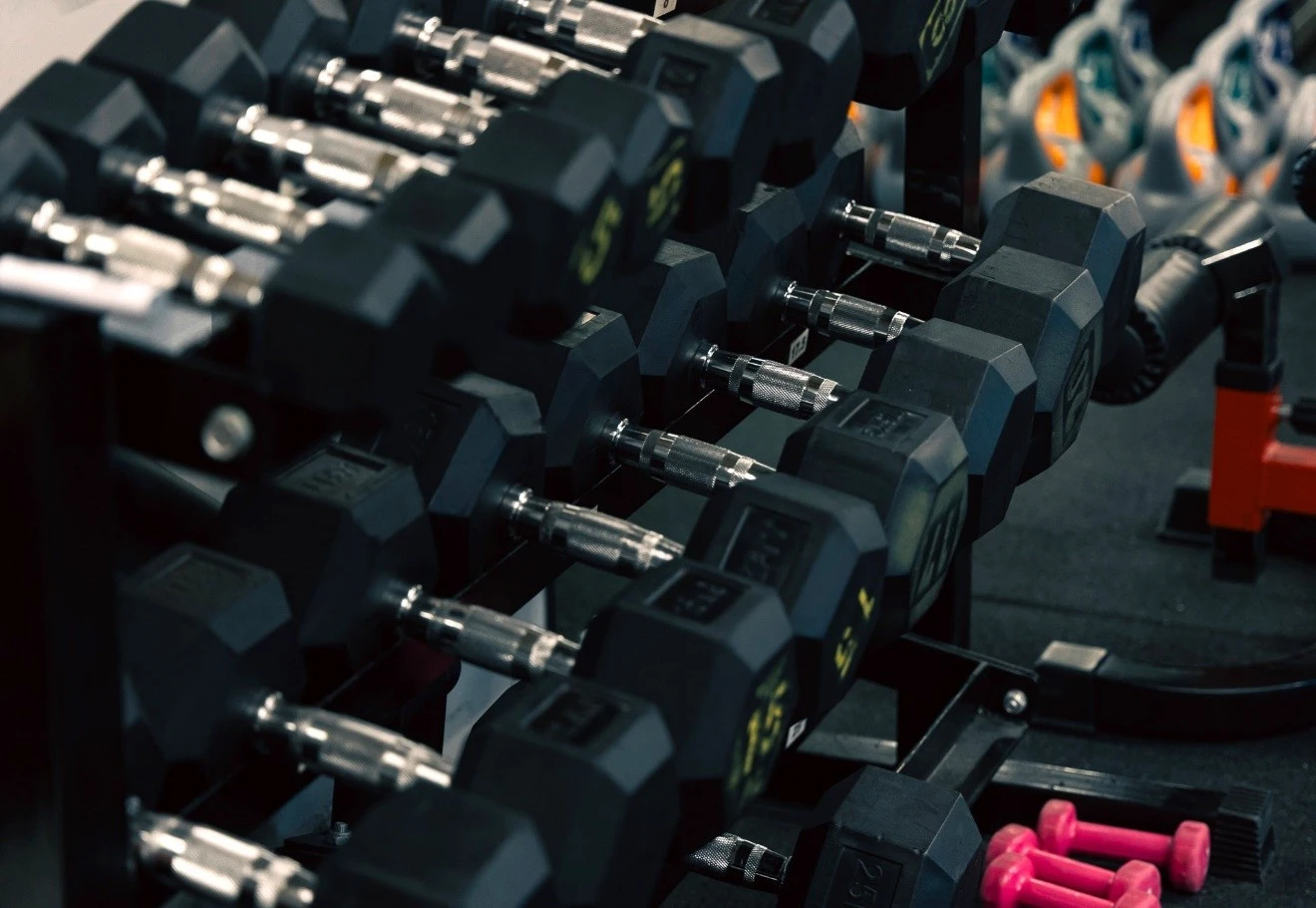 the-body-lab-4.jpg?v=0