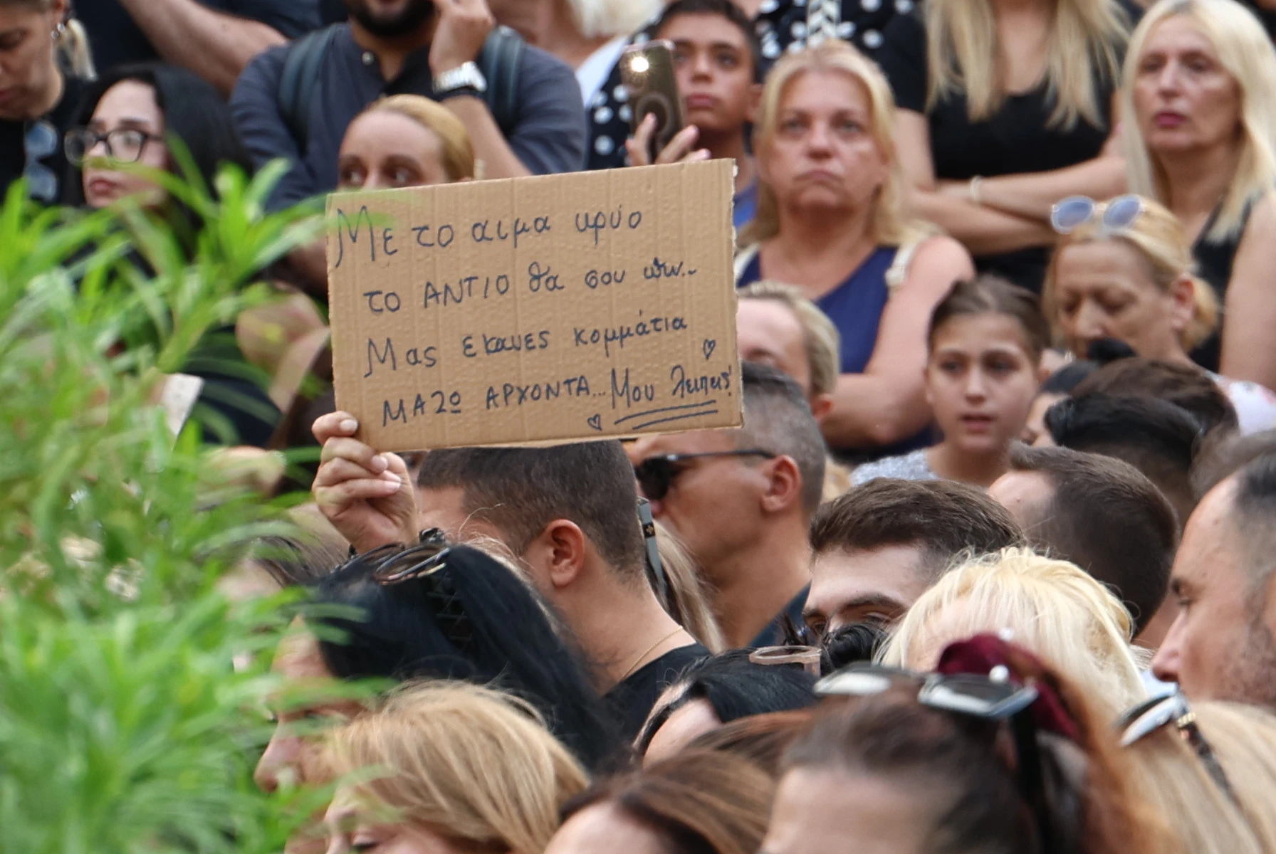 7084813.jpg