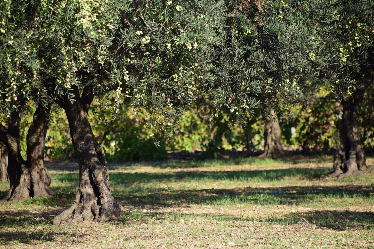 Φωτογραφία αρχείου - Πηγή:&nbsp;https://pixabay.com/images/sea...