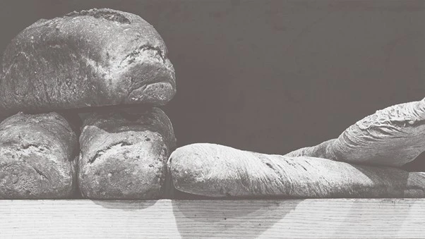 miltos-3.jpg?v=0