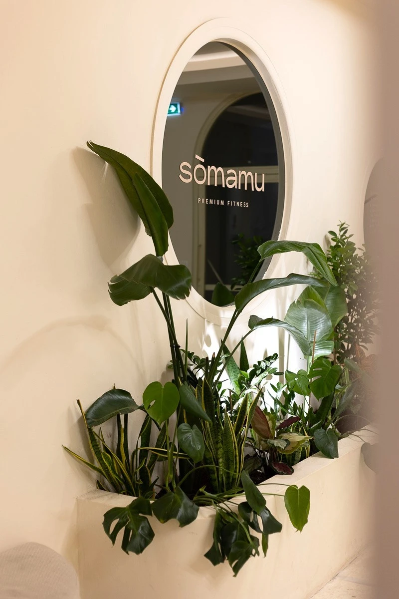 somanu-19.jpg?v=0