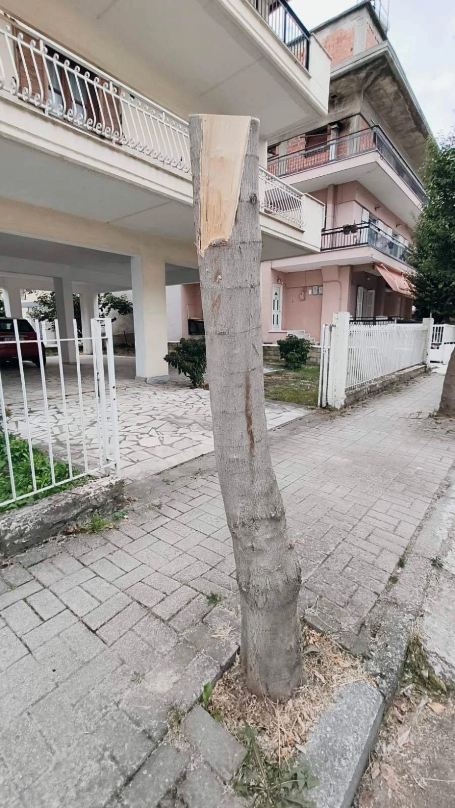 1-HeOtr.jpg?v=0
