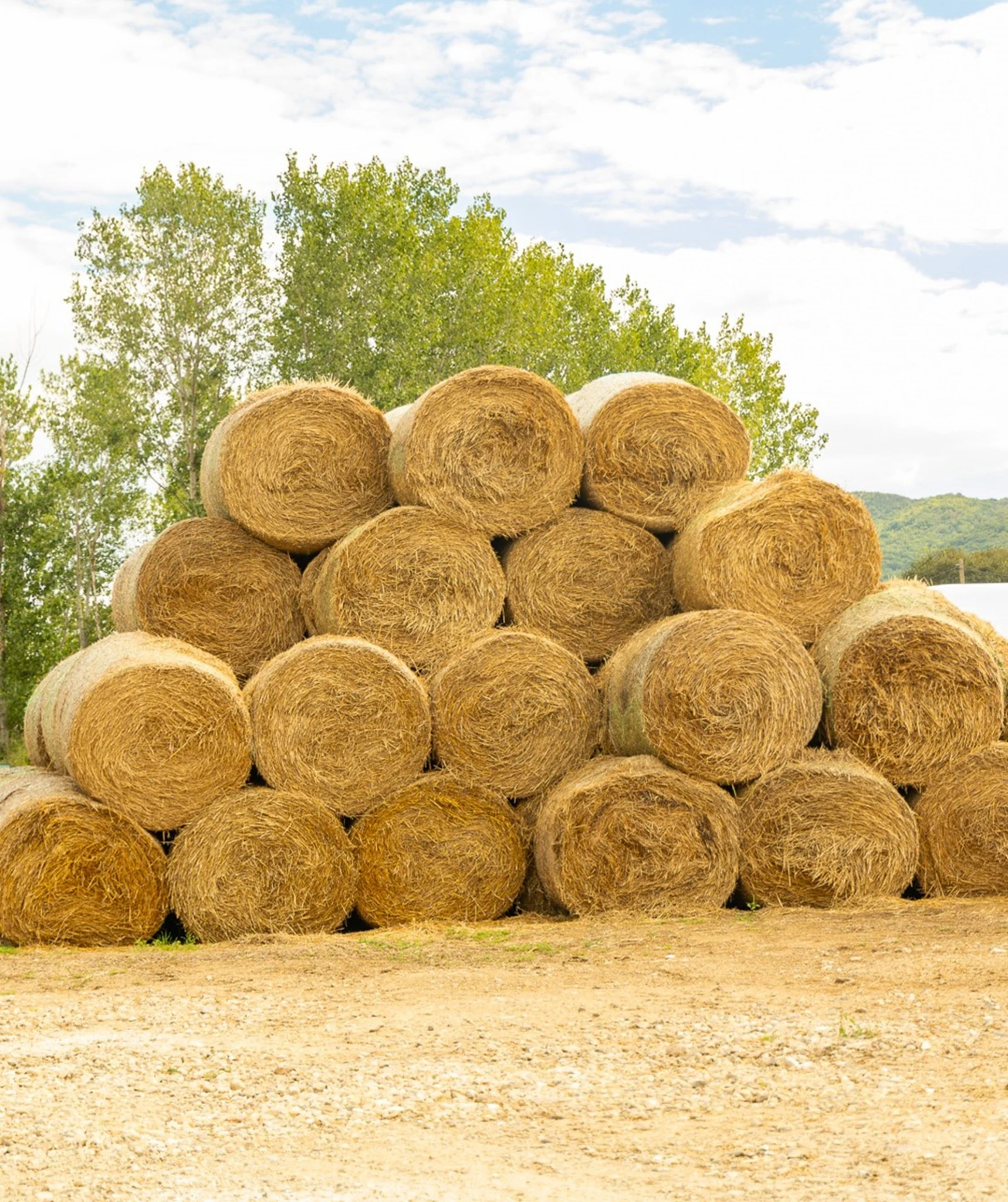 farma-kerkinis-12.jpg?v=0