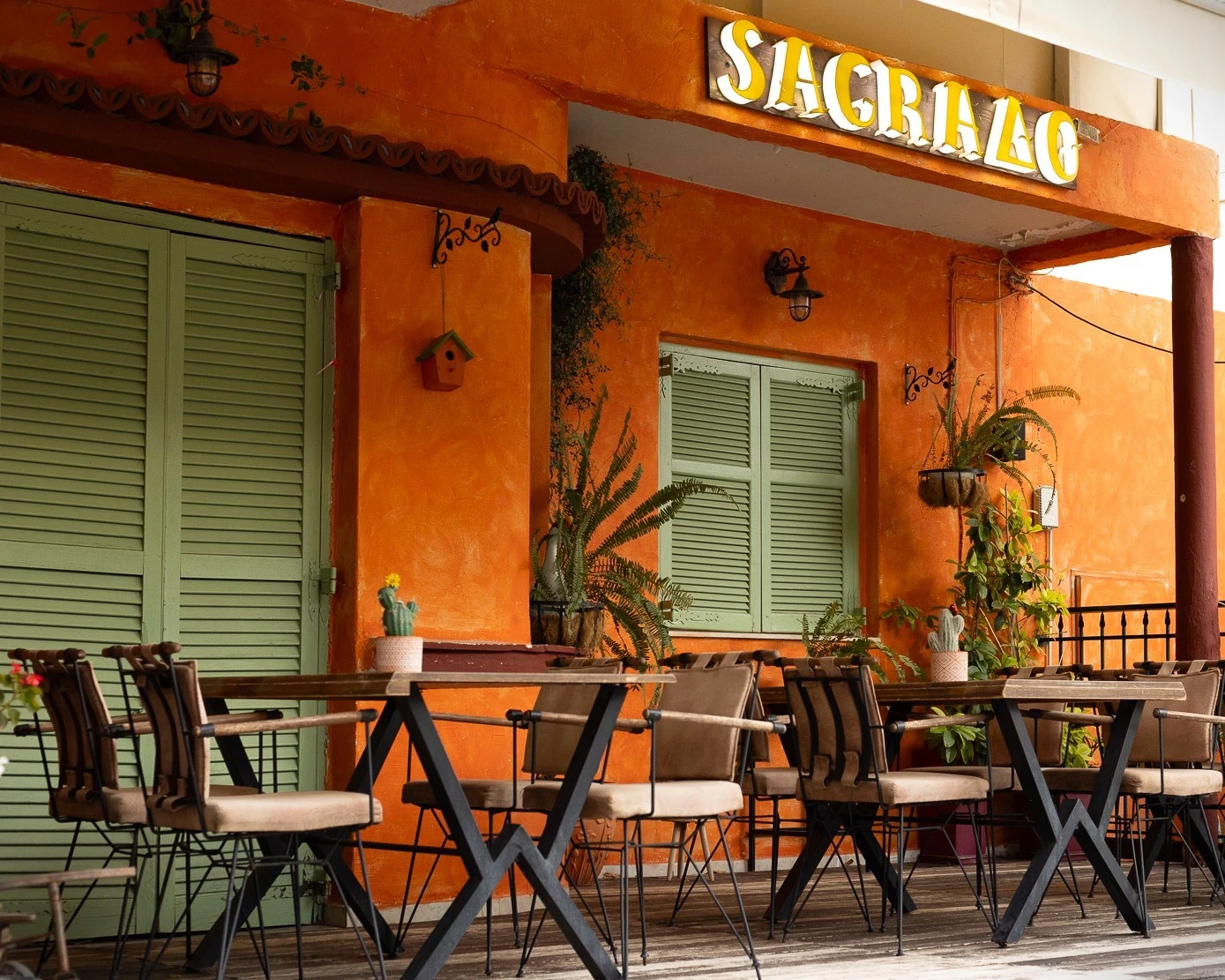 sagrado-19-0g0L4.jpg?v=0