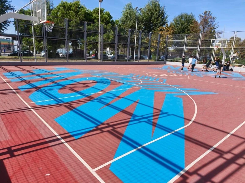 gipedo-basket2.jpg