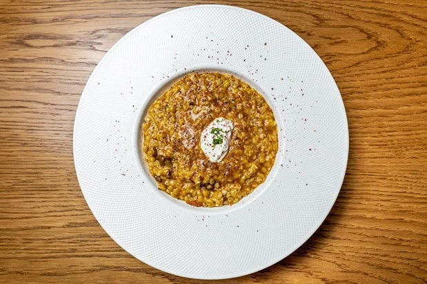 methi-14a.jpg?v=0