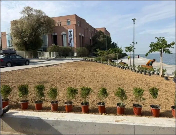 Όταν ξεκίνησαν οι φυτεύσεις - Φωτογραφία: Βασίλης Διαμαντάκης