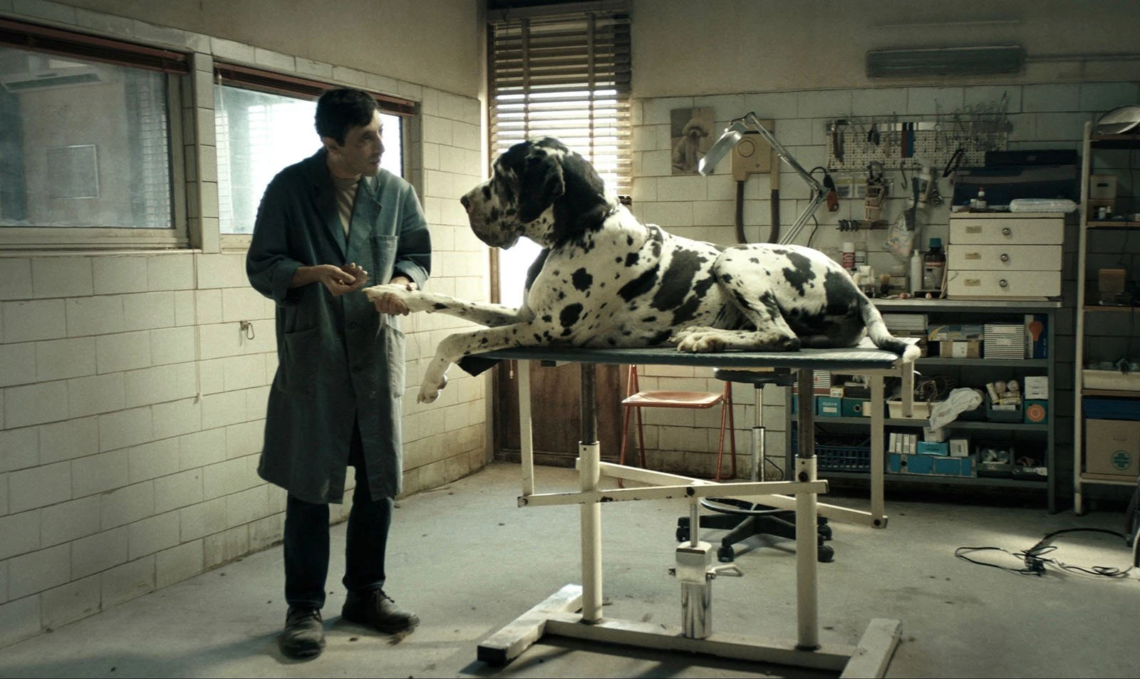 dogman.jpg