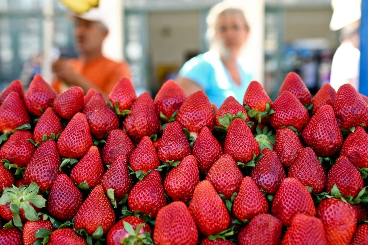 fraoules-strawberries.jpg?v=0