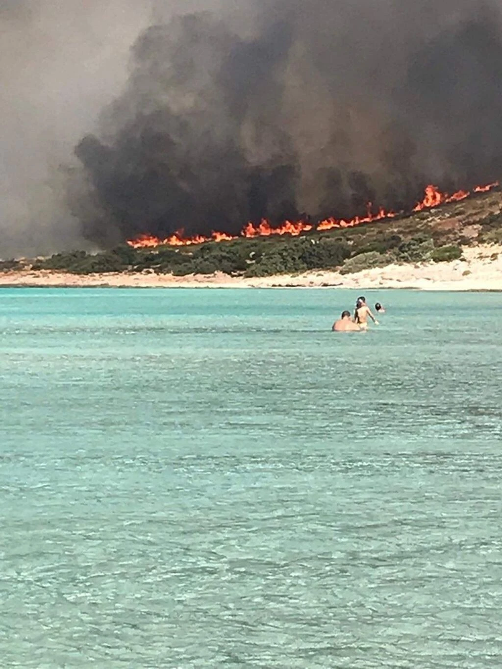 fotia-elafonisos2.jpg