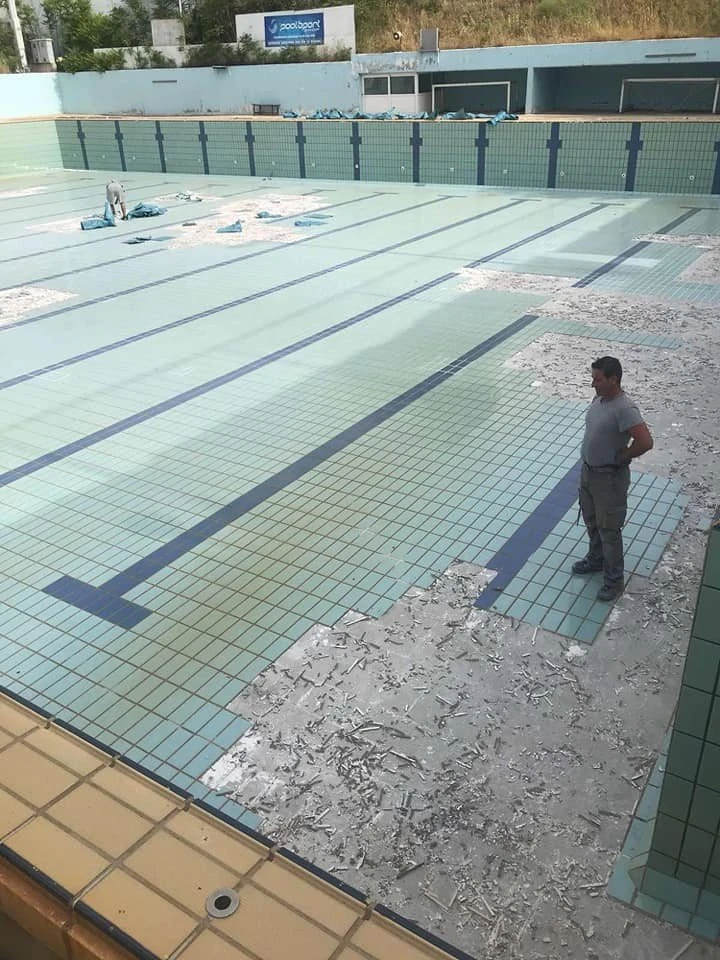 n1.jpg