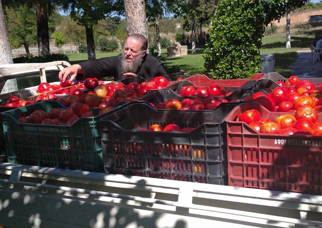 ntomates.jpg?v=0