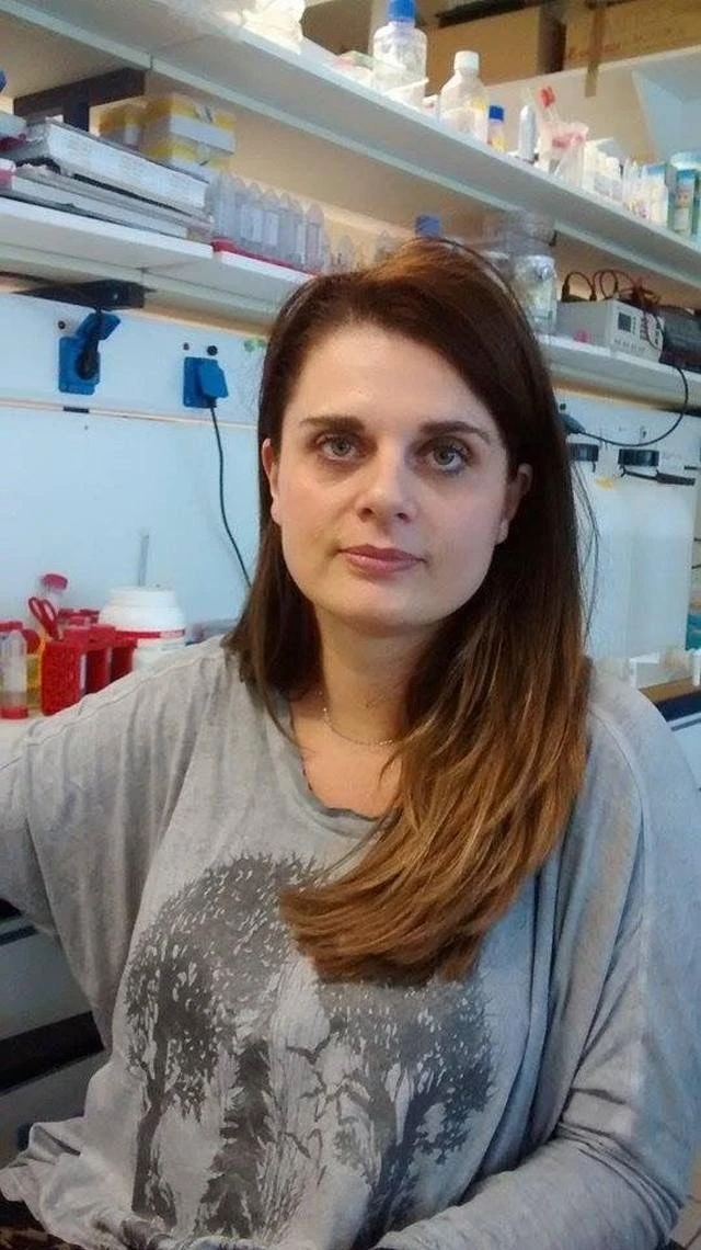 dafou.jpg