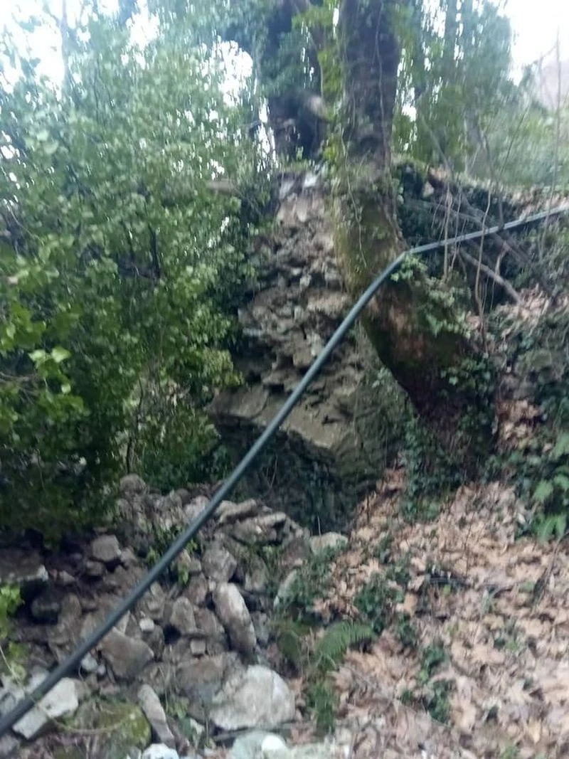 pilio-katerruse-toxoto-gefyri1.jpg