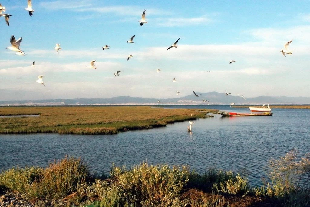 Το Δέλτα Αξιού
