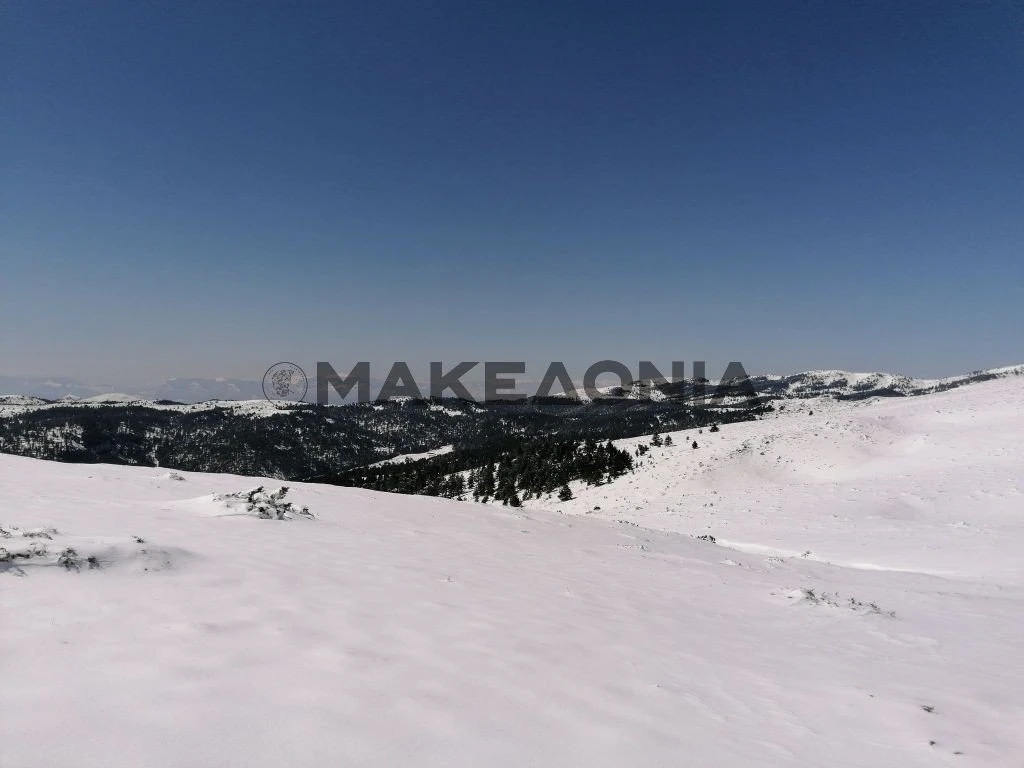 kaisaridis-vermio-tria-pente-pigadia-ski-oreivatiko4.jpg