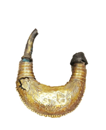 xrysa-lembosxhma-skoylarikia.png